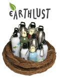 EarthLust 380ml S/S Bottle